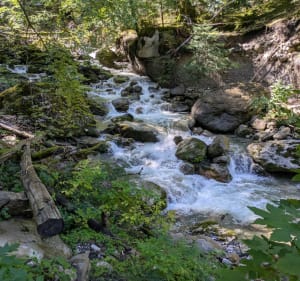 Cascade du Dar par la Balme Mont-Saxonnex - christophe - 3