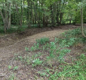Circuit du bois de Coolus - YANNICK - 2