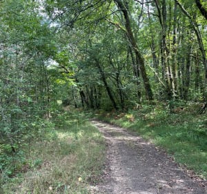 Balade VTT depuis Barbezieux - Ddény - 2