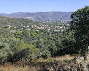 Cap benat-Cabasson - Bormes-les-Mimosas - 7