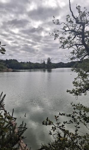 Lac de la Thesauque - Nailloux - Isabelle - 3