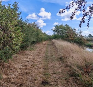 Sentier du pays de l'angle - coline - 2