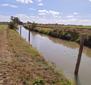 Sentier du pays de l'angle - coline - 3