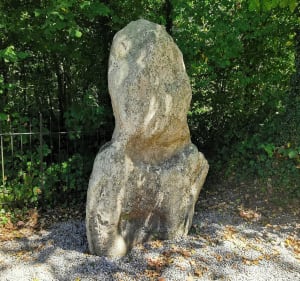 La Transylvestre - Denis - 4