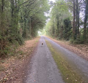 Campagne Froidfondaise - Sophie - 3
