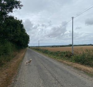 Campagne Froidfondaise - Sophie - 5