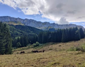 Vallée de la Fauge et BOA secret - Villard-de-Lans - 4