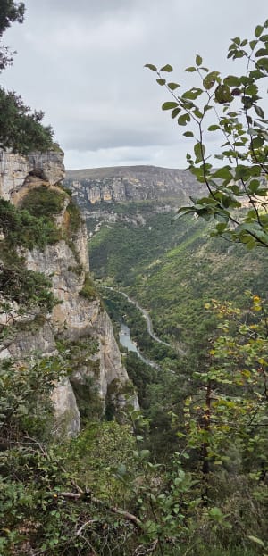 Baus del Biel et sentiers balcon sur le Tarn - Delphine - 2
