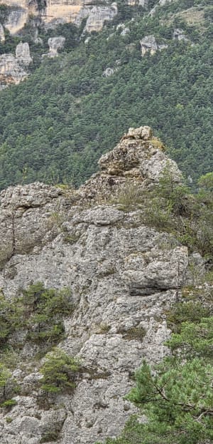 Baus del Biel et sentiers balcon sur le Tarn - Delphine - 4