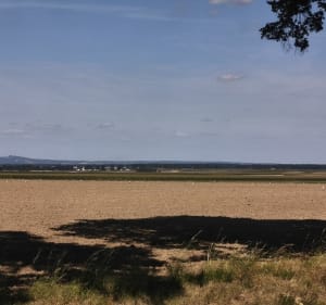 Fajna trasa - Kędzierzyn-Koźle - 4