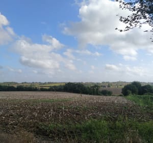 Autour de Saint-Jean-sur-Vilaine - Saint-Jean-sur-Vilaine - 2