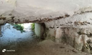 Troglodietengrotten in Orival - bruno - 7