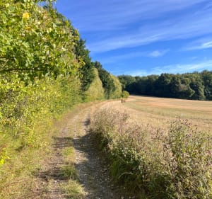 Découverte des sentiers autour de la cimenterie de Lumbres - Doug - 2
