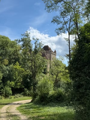 Petite aventure forestière à la Croix de Suchot de Baume-les-Messieurs - Leslie - 7
