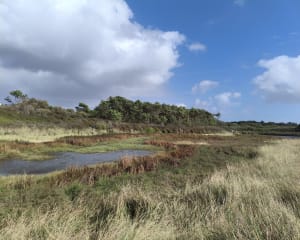 Entre mer et étangs vers Trévignon - Trégunc - 10