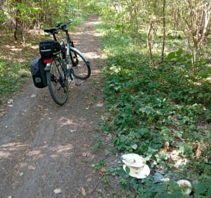 Trasa. mieszana - Białystok - 3