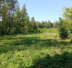 Trasa. mieszana - Białystok - 4