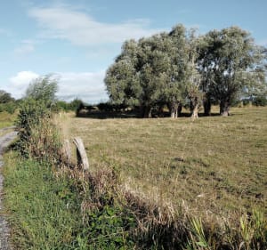 Autour de Rubrouck - Arnaud - 4