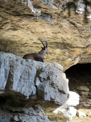 Belvédère du Pas du Roc - Fillière - 6