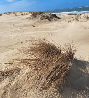 Promenade au Gallon d'Or et la Pointe Espagnole - Marie claire - 6