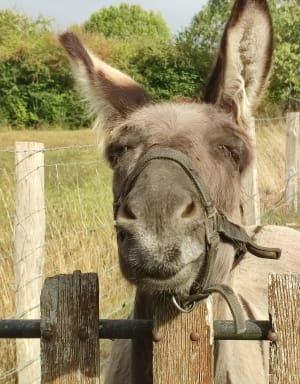 Marche nature à Mélicourt - Didier - 2
