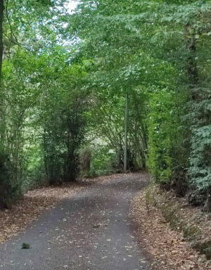 Marche nature à Mélicourt - Didier - 3