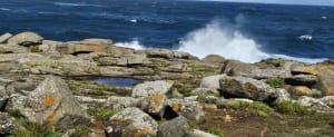 Balade pointe du but - Blandine - 4