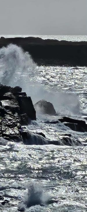 Balade pointe du but - Blandine - 5