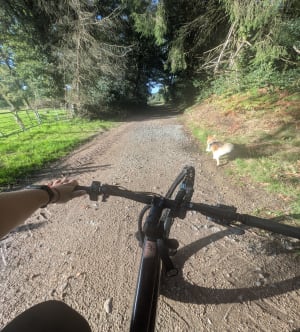 Brigueuil en Charente Limousine par la forêt de Montrollet - Emilie - 3