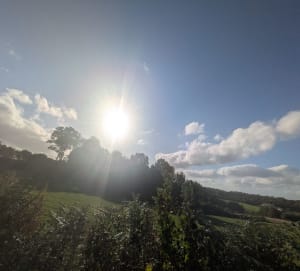 Brigueuil en Charente Limousine par la forêt de Montrollet - Emilie - 2