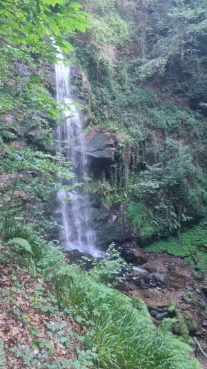 Promenade à la Cascade de la Piche - Stephanie - 12
