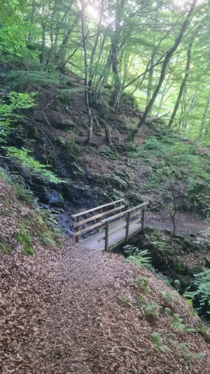 Promenade à la Cascade de la Piche - Stephanie - 14