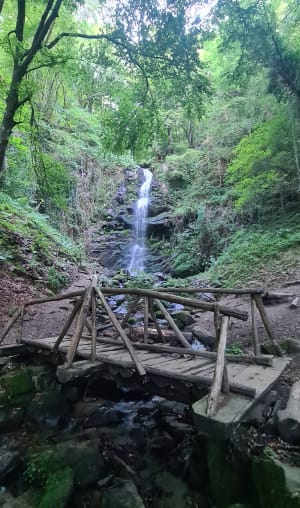 Promenade à la Cascade de la Piche - Stephanie - 13