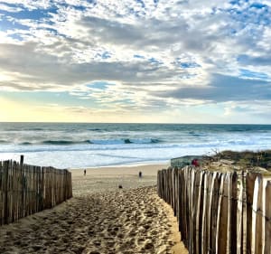 En forêt du Capbreton - Taous - 3
