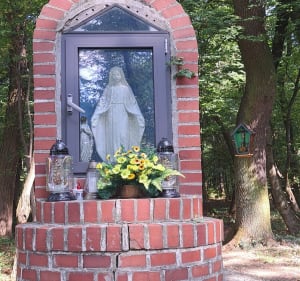 Staw Wężowy, Puszcza Niepołomicka - Wola Batorska - 2