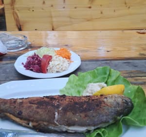 Staw Wężowy, Puszcza Niepołomicka - Wola Batorska - 4