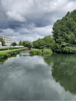 Balade reposante à Louviers, sur les bords de l'Eure - Louviers - 2
