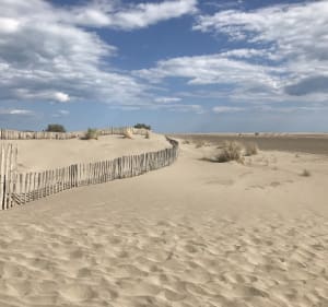Pointe de l'Espiguette et moment doux en Petite Camargue - Le Grau-du-Roi - 2