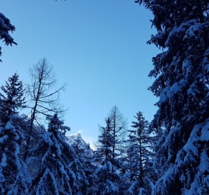 Escapade enneigée dans les bois des Tines - Chamonix-Mont-Blanc - 2