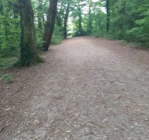 Balade au Parc du Pinsan - Bordeaux - 2