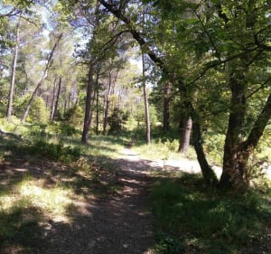 Sortie VTT entre Mimet, Gréasque et St Savounin - Alain - 2
