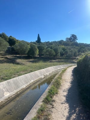 Le long du canal de la Siagne - Grasse - 4