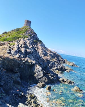 Sublime Tour de la Parata et îles Sanguinaires - Ajaccio - 9