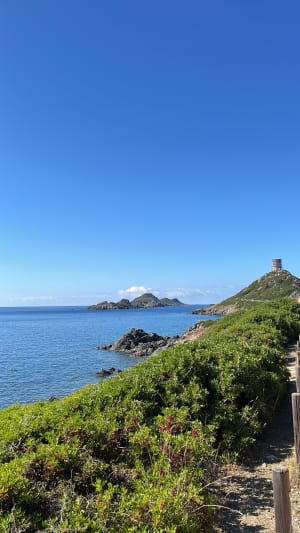 Sublime Tour de la Parata et îles Sanguinaires - Ajaccio - 7