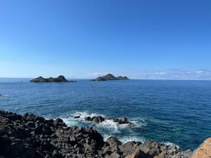 Sublime Tour de la Parata et îles Sanguinaires - Ajaccio - 8