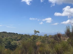 Promenade au Baou de Saint-Jeannet et drôles de cabanes - Maelwenn - 5