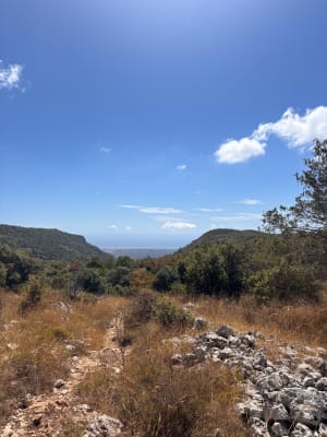 Promenade au Baou de Saint-Jeannet et drôles de cabanes - Maelwenn - 6