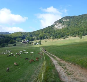Pointe de la Gorgeat par les Crêtes de la Drière - Chapareillan - 2