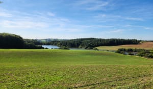 Pareloup et environs.. - sailly - 4