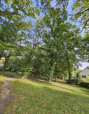 Balade bois et rivières de Chevigny - Maria-Thérèsa  - 10